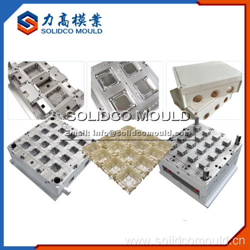 Professional Plastic Injection Mold Maker